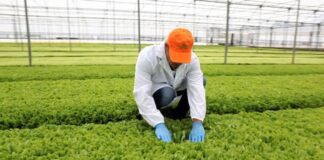 Oggi il click day, 89mila posti per gli stranieri stagionali