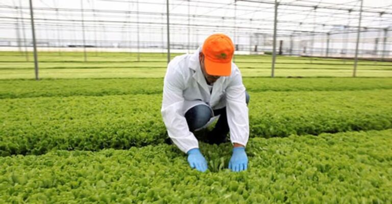 Oggi il click day, 89mila posti per gli stranieri stagionali