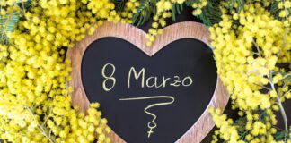 Cangiano (FdI): “Coordinamento provinciale Caserta lancia una campagna social per l’8 Marzo”