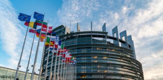 Europee, l’astensionismo? E chi se ne frega. Non preoccupa l’avanzata della destra. La politica italiana è come sempre casalinga