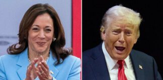 Sondaggi Usa, Trump o Harris: cosa dicono le nuove proiezioni sui 7 Stati chiave