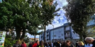 Festival Green al Liceo Fermi di Aversa, si celebra il World Soil Day per un futuro sostenibile
