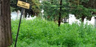 FOTOGALLERY DEL DEGRADO Aversa, cimitero in condizioni vergognose, era una priorità di Matacena. Sagliocco nel mirino