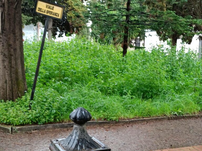 FOTOGALLERY DEL DEGRADO Aversa, cimitero in condizioni vergognose, era una priorità di Matacena. Sagliocco nel mirino