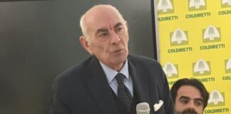 Impianto fotovoltaico nella zona atellana, nuovo “no” di Coldiretti. Il sindaco di Succivo Papa con gli agricoltori. E Santillo?