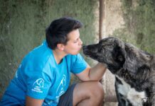 Sant’Anastasia, cane abbandonato e maltrattato. Lndc animal protection: “Inaccettabile riaffidarlo alla proprietaria, chiediamo il sequestro immediato”