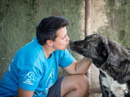 Sant’Anastasia, cane abbandonato e maltrattato. Lndc animal protection: “Inaccettabile riaffidarlo alla proprietaria, chiediamo il sequestro immediato”