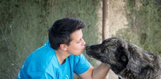 Sant’Anastasia, cane abbandonato e maltrattato. Lndc animal protection: “Inaccettabile riaffidarlo alla proprietaria, chiediamo il sequestro immediato”