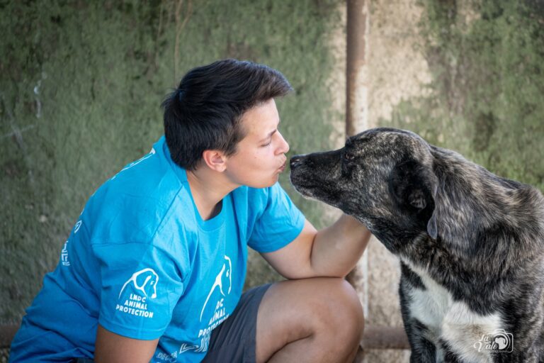 Sant’Anastasia, cane abbandonato e maltrattato. Lndc animal protection: “Inaccettabile riaffidarlo alla proprietaria, chiediamo il sequestro immediato”