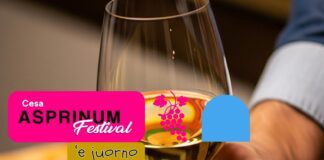 GLI ATTI Asprinum Festival a Cesa, la Pro Loco pagata in anticipo: 35mila euro in appena 5 giorni