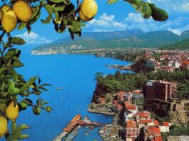 Farmer Cult, tra limoneti e sentieri la Penisola Sorrentina riscopre le sue radici. Progetto al via il 2 ottobre