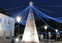 SPECIALE VIDEO L’Albero della Pace di Orta di Atella è un atto rivoluzionario