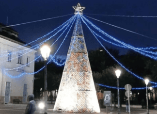 SPECIALE VIDEO L’Albero della Pace di Orta di Atella è un atto rivoluzionario