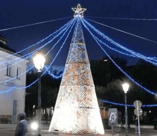 SPECIALE VIDEO L’Albero della Pace di Orta di Atella è un atto rivoluzionario