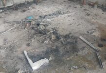 FOTO Cesa, incendio nel cimitero: momenti di panico. Intervengono i vigili del fuoco