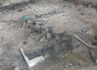 FOTO Cesa, incendio nel cimitero: momenti di panico. Intervengono i vigili del fuoco