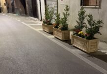 FOTO Cesa, fioriere illegali e “ad personam” in via Parroco della Gala: il comune viola il codice della strada. Disagi per pedoni e disabili