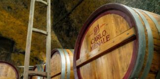 La Cantina Carlo Menale, simbolo dell’eccellenza dell’Asprinio di Aversa, protagonista al Vinitaly 2026