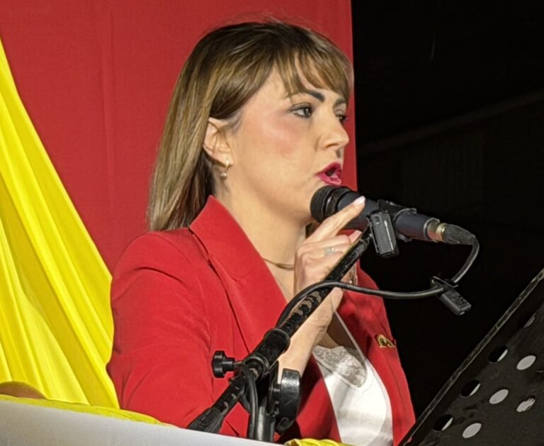 Cesa, Guarino scavalca Villano per il vicesindaco. Oliva presidente dell’assise, D’Agostino e Marrandino riconfermati