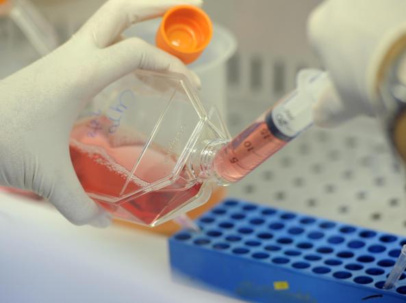 Scambio di embrioni all’ospedale San Paolo di Napoli, dubbi su una provetta mancante