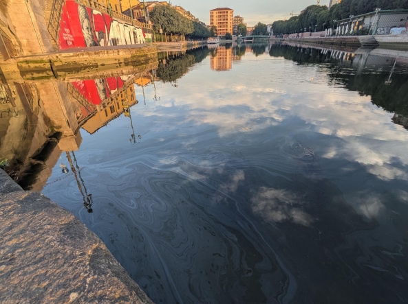 Sversamento nei Navigli, chiazza di gasolio di 28 km arrivata alla Darsena: “Gesto doloso, gravi danni alla biodiversità”